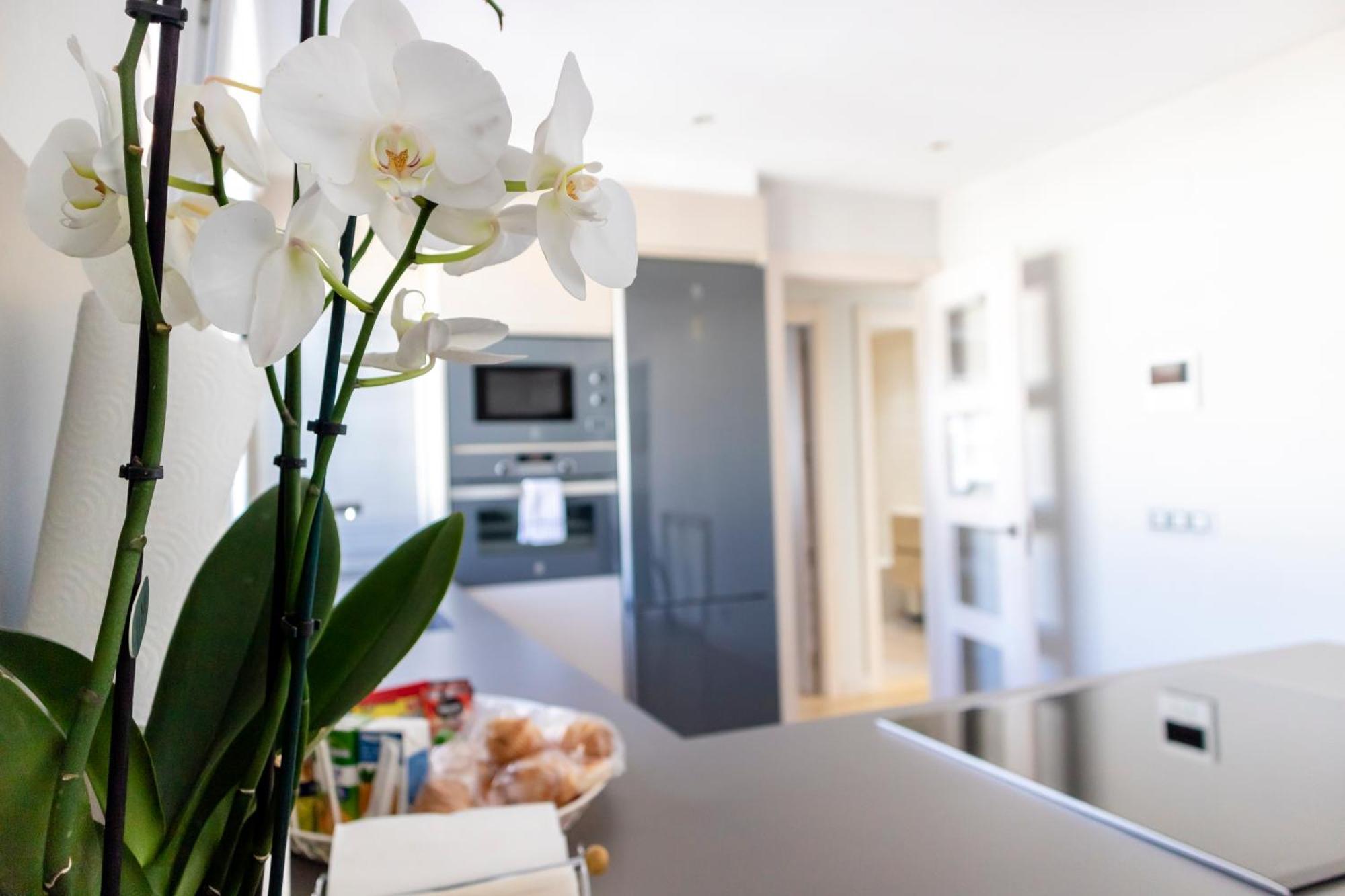 Burgo Nuevo Atico De Lujo En Pleno Centro Con Terraza Y Vistas - Leonapartamentos Eksteriør billede